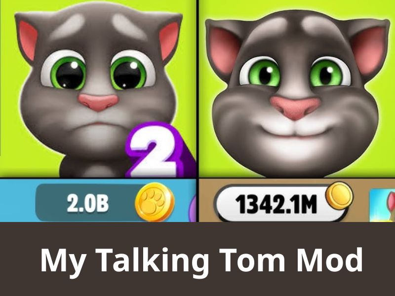 Những tính năng nổi bật của phiên bản My Talking Tom Mod