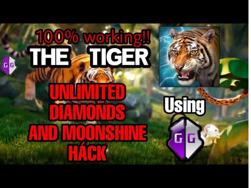 Những Tính Năng Nổi Bật Trong The Tiger Mod