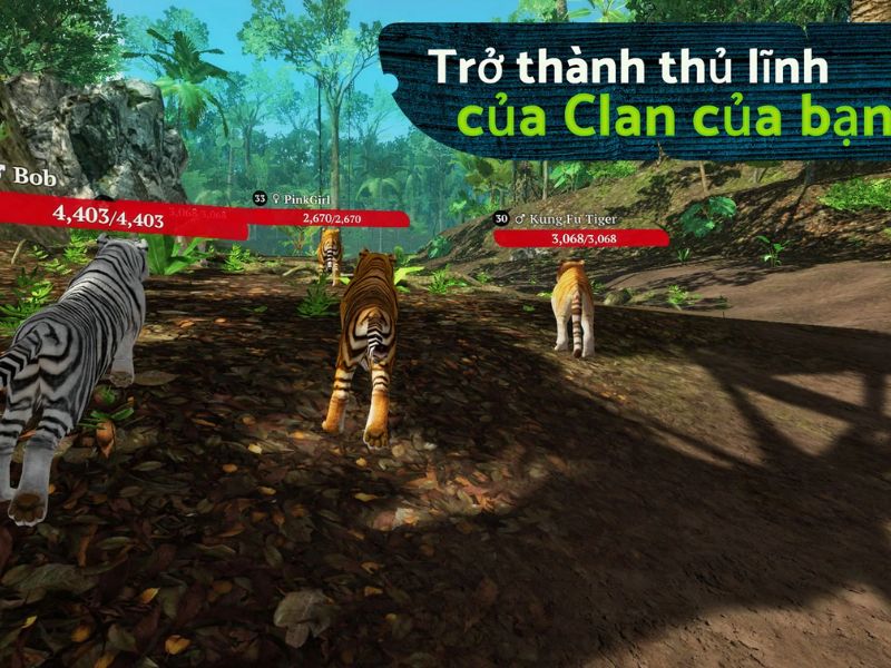 Trở thành kẻ mạnh nhất Trong The Tiger 