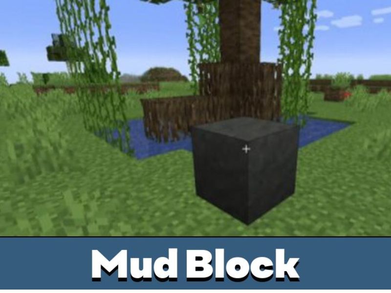 Khối bùn (Mud Blocks) trong Minecraft 1.19 Tiếng Việt