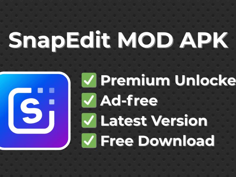 Tính Năng MOD Nổi Bật Có Trong Snapedit MOD APK