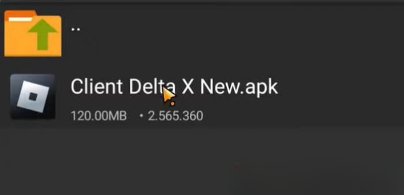 Tải Delta X VNG + QT Roblox V79 Mới Nhất cho Android v2.700 delta x vng 4