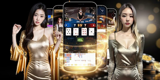 Trách nhiệm của hội viên khi bảo vệ dữ liệu