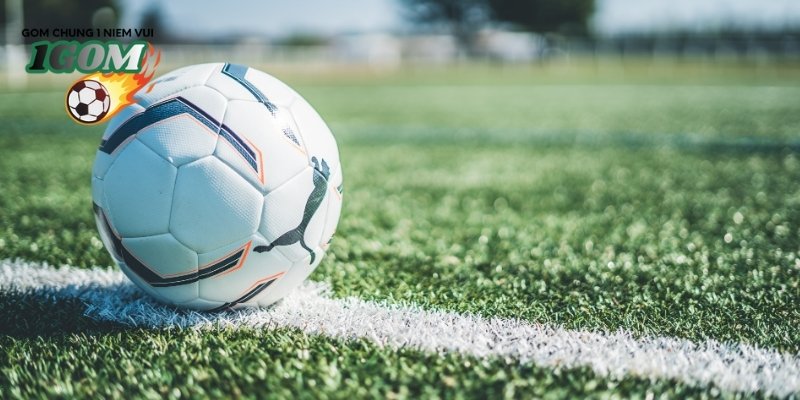 Thực hiện chiến lược gấp thếp chuẩn xác dựa theo dữ liệu từ 1GOM