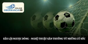 Kèo Lội Ngược Dòng